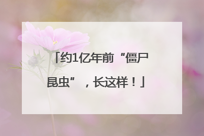 约1亿年前“僵尸昆虫”，长这样！