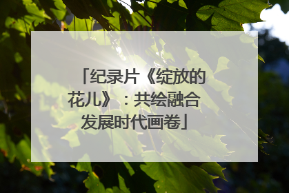 纪录片《绽放的花儿》：共绘融合发展时代画卷