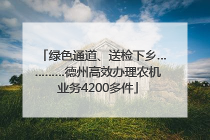 绿色通道、送检下乡…………德州高效办理农机业务4200多件