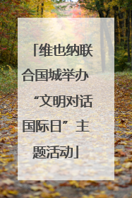 维也纳联合国城举办“文明对话国际日”主题活动
