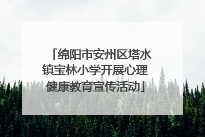 绵阳市安州区塔水镇宝林小学开展心理健康教育宣传活动