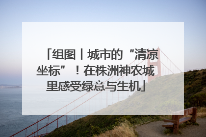 组图丨城市的“清凉坐标”！在株洲神农城里感受绿意与生机
