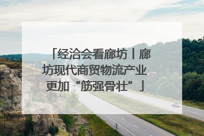 经洽会看廊坊丨廊坊现代商贸物流产业更加“筋强骨壮”