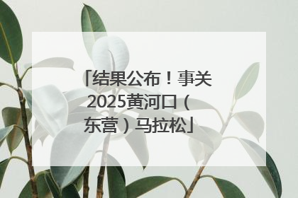 结果公布！事关2025黄河口（东营）马拉松