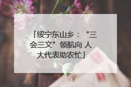 绥宁东山乡：“三会三文”领航向 人大代表助农忙