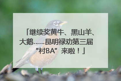 继续奖黄牛、黑山羊、大鹅……昆明禄劝第三届“村BA”来啦！