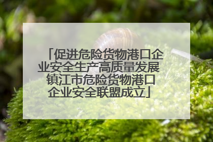 促进危险货物港口企业安全生产高质量发展 镇江市危险货物港口企业安全联盟成立