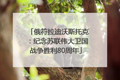 俄符拉迪沃斯托克：纪念苏联伟大卫国战争胜利80周年
