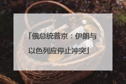 俄总统普京：伊朗与以色列应停止冲突