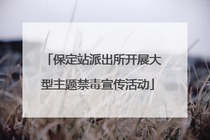 保定站派出所开展大型主题禁毒宣传活动