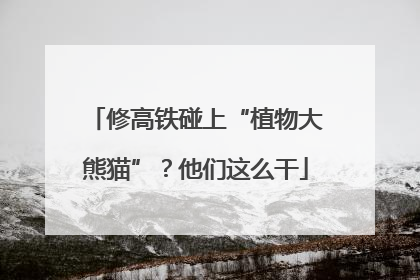 修高铁碰上“植物大熊猫”？他们这么干