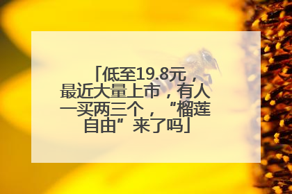 低至19.8元，最近大量上市，有人一买两三个，“榴莲自由”来了吗