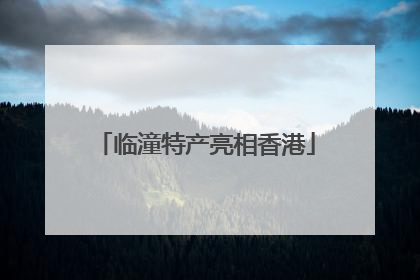 临潼特产亮相香港