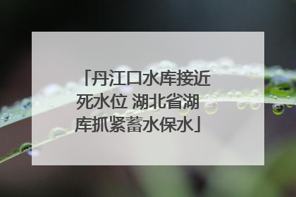 丹江口水库接近死水位 湖北省湖库抓紧蓄水保水