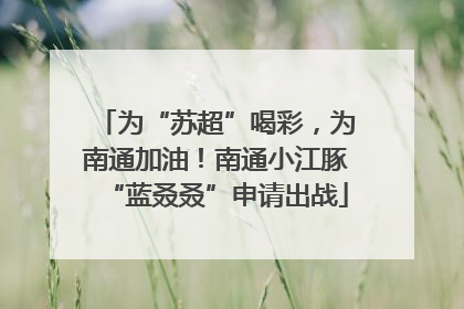 为“苏超”喝彩，为南通加油！南通小江豚“蓝叒叒”申请出战