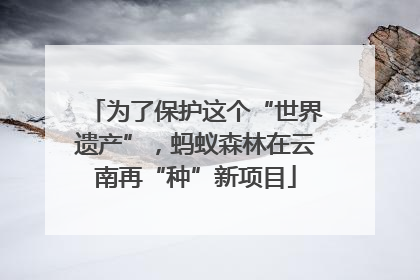 为了保护这个“世界遗产”，蚂蚁森林在云南再“种”新项目