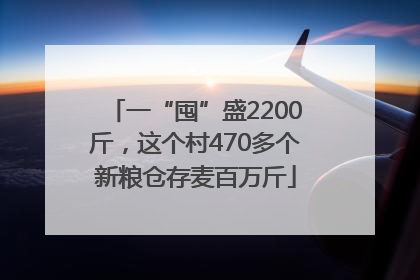 一“囤”盛2200斤，这个村470多个新粮仓存麦百万斤