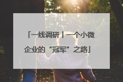 一线调研丨一个小微企业的“冠军”之路