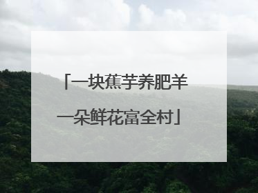 一块蕉芋养肥羊 一朵鲜花富全村