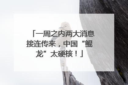 一周之内两大消息接连传来，中国“鲲龙”太硬核！