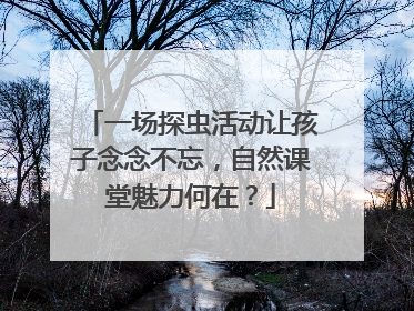 一场探虫活动让孩子念念不忘，自然课堂魅力何在？