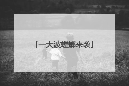 一大波螳螂来袭