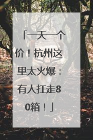 一天一个价！杭州这里太火爆：有人扛走80箱！