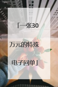 一张30万元的特殊电子回单