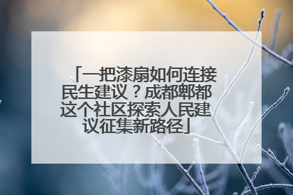 一把漆扇如何连接民生建议？成都郫都这个社区探索人民建议征集新路径