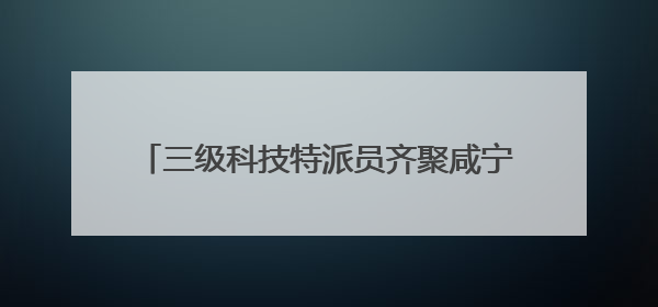 三级科技特派员齐聚咸宁茶园 共探转型升级之路