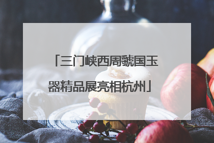 三门峡西周虢国玉器精品展亮相杭州