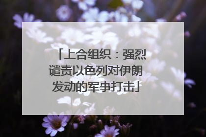 上合组织：强烈谴责以色列对伊朗发动的军事打击