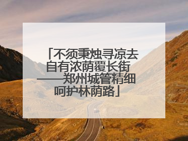不须秉烛寻凉去 自有浓荫覆长街——郑州城管精细呵护林荫路