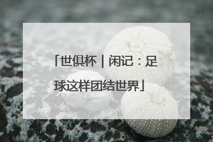 世俱杯｜闲记：足球这样团结世界