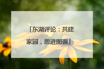 东湖评论：共建家园，思进图强