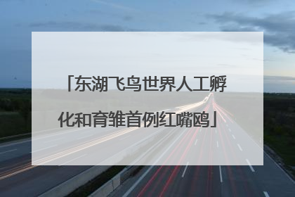 东湖飞鸟世界人工孵化和育雏首例红嘴鸥
