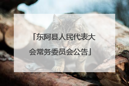 东阿县人民代表大会常务委员会公告