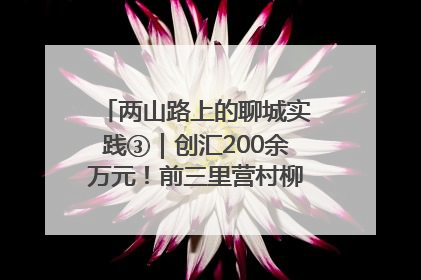 两山路上的聊城实践③｜创汇200余万元！前三里营村柳篱笆畅销西班牙