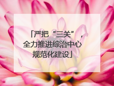 严把“三关”，全力推进综治中心规范化建设