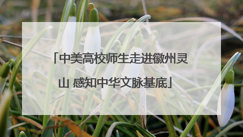 中美高校师生走进徽州灵山 感知中华文脉基底