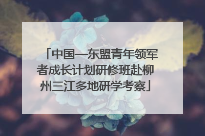 中国—东盟青年领军者成长计划研修班赴柳州三江多地研学考察