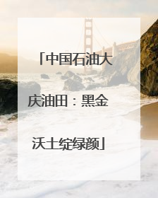中国石油大庆油田：黑金沃土绽绿颜