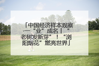 中国经济样本观察·一“业”成名丨“老树发新芽”！“浏阳烟花”燃亮世界