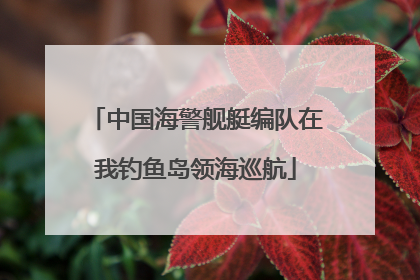 中国海警舰艇编队在我钓鱼岛领海巡航