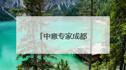 中意专家成都对话 共探文化遗产保护实践