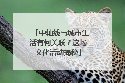 中轴线与城市生活有何关联？这场文化活动揭秘