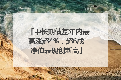 中长期债基年内最高涨超4%，超6成净值表现创新高