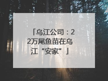 乌江公司：22万尾鱼苗在乌江“安家”