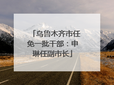 乌鲁木齐市任免一批干部：申琳任副市长