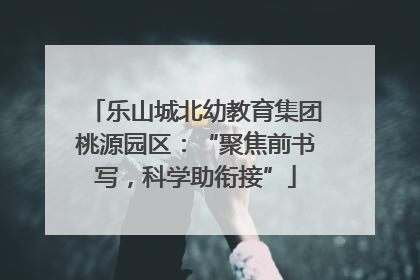 乐山城北幼教育集团桃源园区：“聚焦前书写，科学助衔接”
